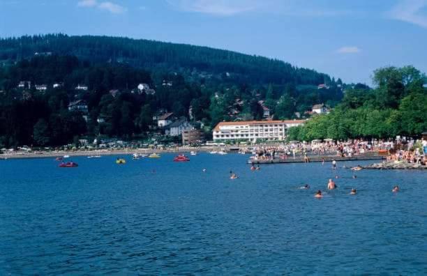 Nouveau Chalet M.META 12 pers sauna,jacuzzi,billard Xonrupt-Longemer Esterno foto