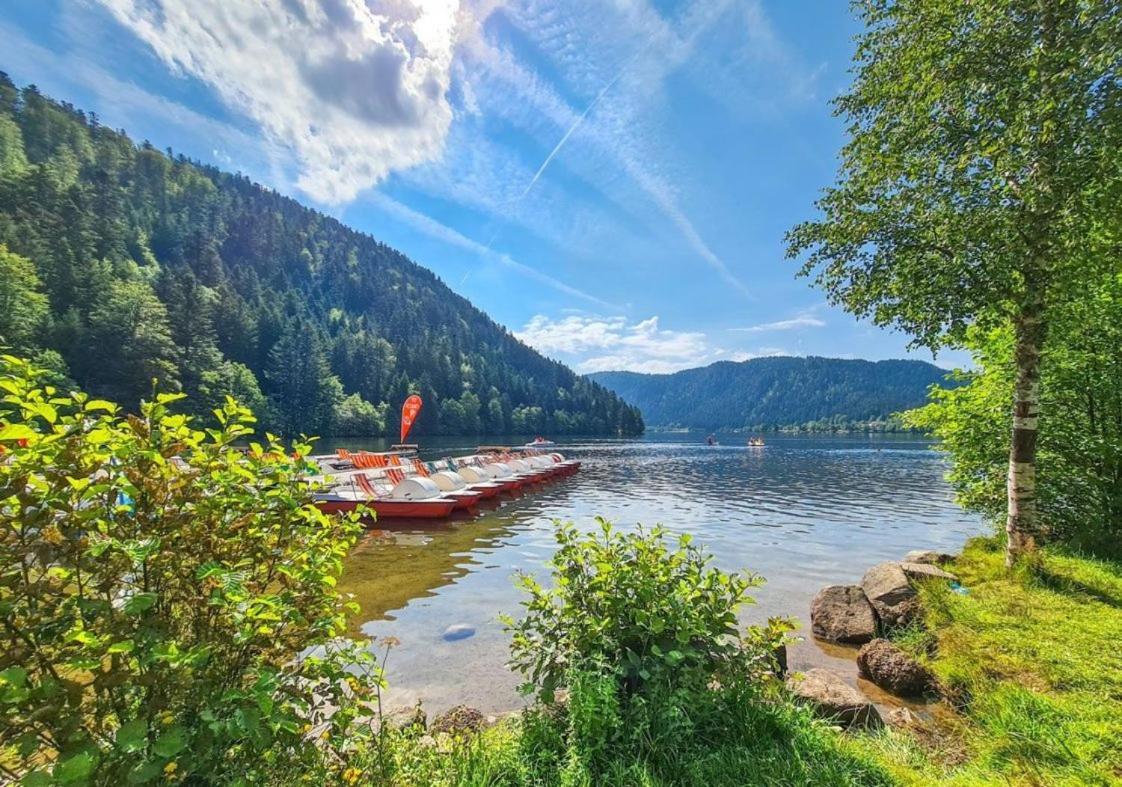 Nouveau Chalet M.META 12 pers sauna,jacuzzi,billard Xonrupt-Longemer Esterno foto