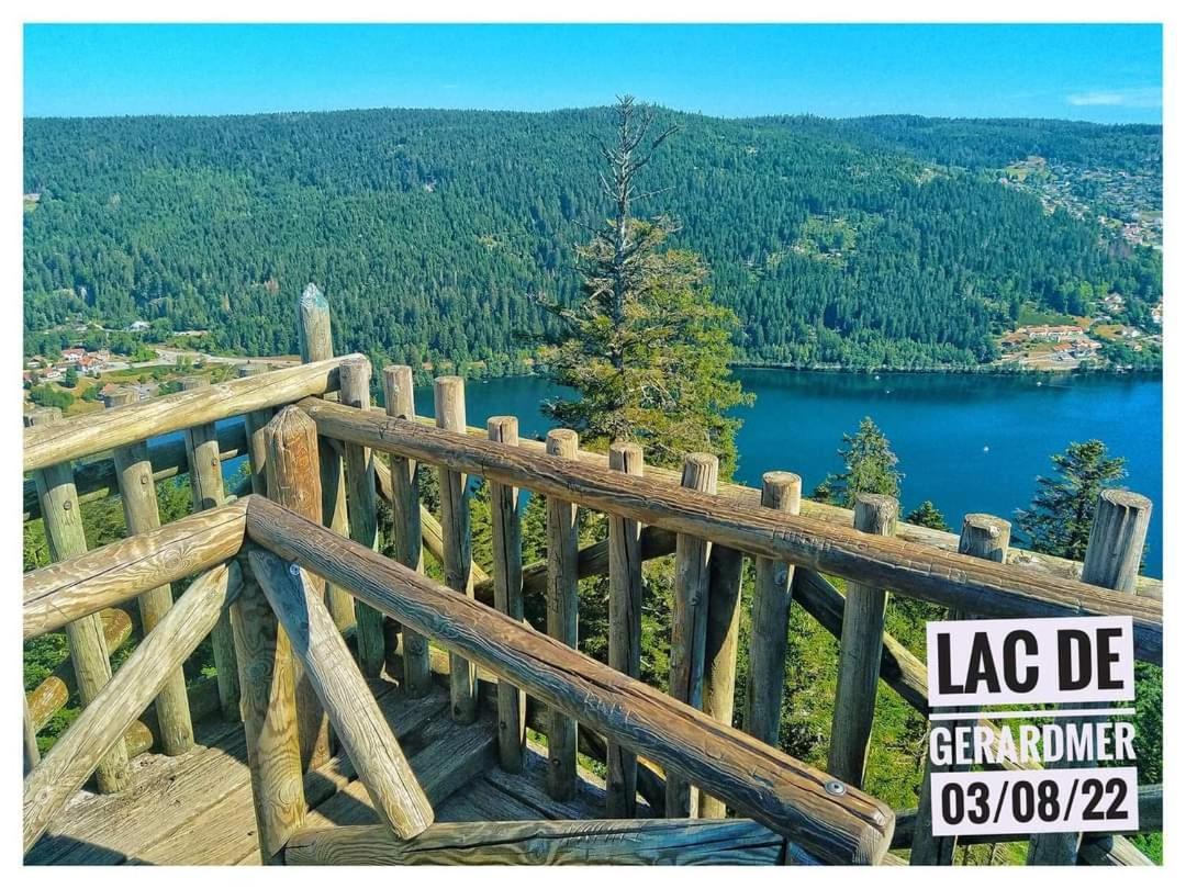 Nouveau Chalet M.META 12 pers sauna,jacuzzi,billard Xonrupt-Longemer Esterno foto