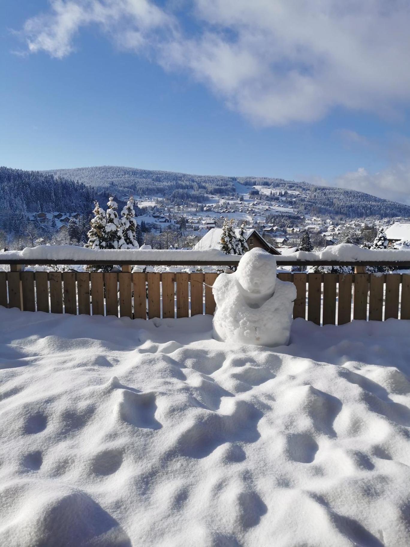 Nouveau Chalet M.META 12 pers sauna,jacuzzi,billard Xonrupt-Longemer Esterno foto